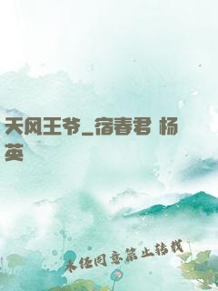 天风王爷